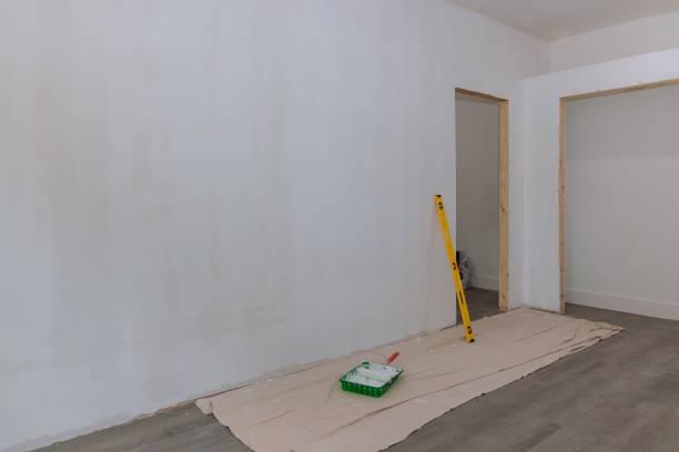 Best Mold Odor Removal Services  in The Village Of Indian Hill, OH