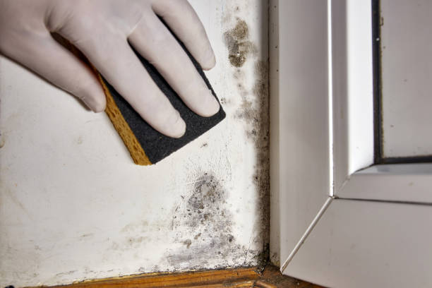 Forensic Mold Investigation in The Village Of Indian Hill, OH