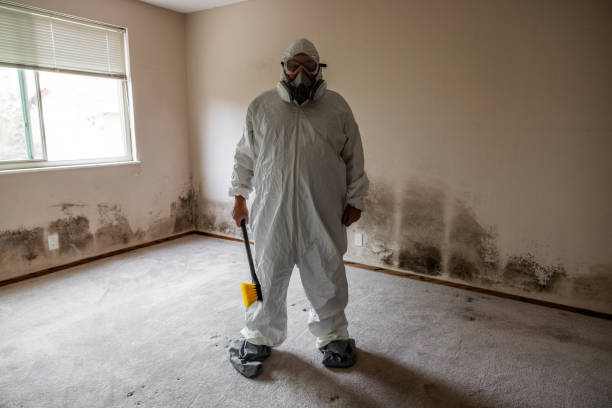 Best Commercial Mold Inspection  in The Village Of Indian Hill, OH